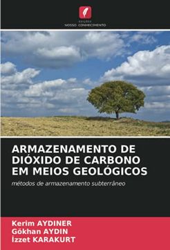 portada Armazenamento de Dióxido de Carbono em Meios Geológicos: Métodos de Armazenamento Subterrâneo (en Portugués)