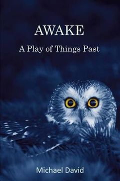 portada Awake: A Play