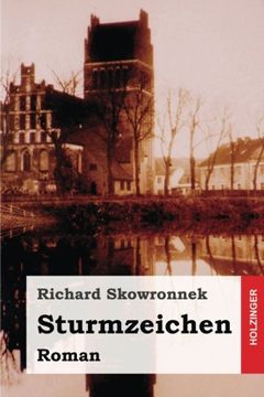 portada Sturmzeichen: Roman