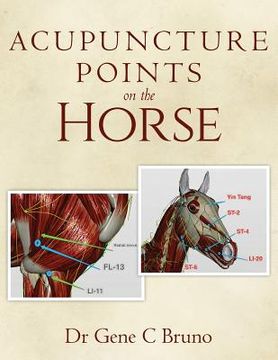 portada Acupuncture Points on the Horse (en Inglés)