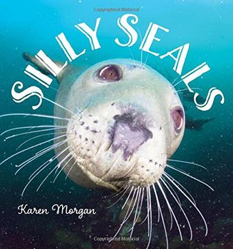 portada Silly Seals (in English)