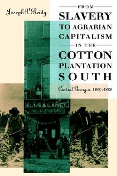 portada from slavery to agrarian capitalism in the cotton plantation south: central georgia, 1800-1880 (en Inglés)
