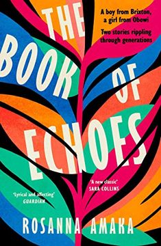 portada The Book of Echoes: An Astonishing Debut. 'Impassioned. Lyrical and Affecting'Guardian 
