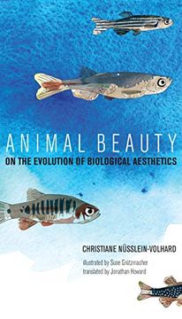 portada Animal Beauty: On the Evolution of Biological Aesthetics (The mit Press) (in English)