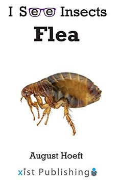 portada Flea (i see Insects) (in English)