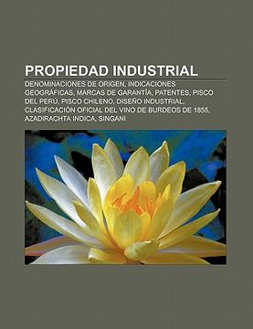 Libro Propiedad Industrial: Denominaciones De Origen, Indicaciones ...