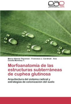 portada Morfoanatomia de Las Estructuras Subterraneas de Cuphea Glutinosa