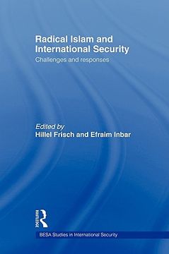 portada radical islam and international security