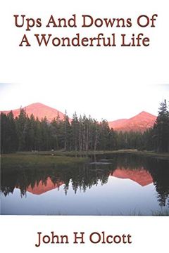 portada Ups and Downs of a Wonderful Life (en Inglés)