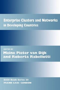 portada enterprise clusters and networks in developing countries (en Inglés)