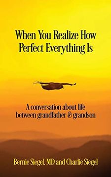 portada When you Realize how Perfect Everything is: A Conversation About Life Between Grandfather and Grandson (en Inglés)
