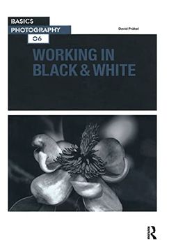 portada Working in Black & White (Basics Photography, 6) (en Inglés)
