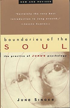portada Boundaries of the Soul: The Practice of Jung's Psychology (en Inglés)