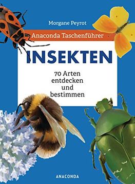 portada Anaconda Taschenführer Insekten: 70 Arten Entdecken und Bestimmen (en Alemán)