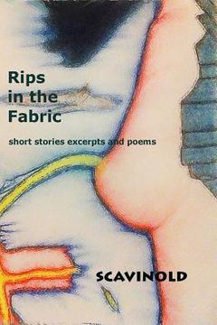 portada Rips in the Fabric: short stories excerpts and poems (en Inglés)