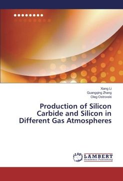 portada Production of Silicon Carbide and Silicon in Different Gas Atmospheres