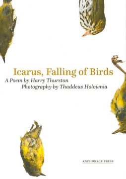 portada Icarus, Falling of Birds (en Inglés)