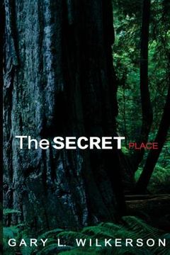 portada The SECRET Place (in English)