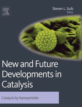 portada New and Future Developments in Catalysis: Catalysis by Nanoparticles (in English)