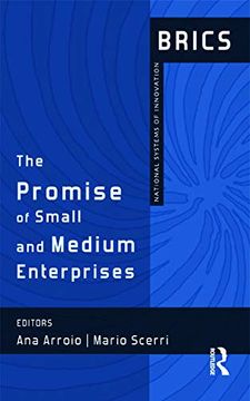 portada The Promise of Small and Medium Enterprises: Brics National Systems of Innovation (en Inglés)