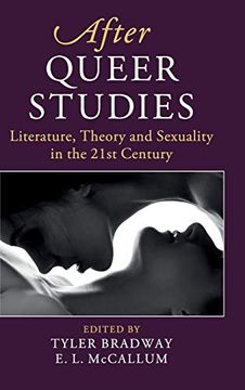 portada After Queer Studies (After Series) (en Inglés)