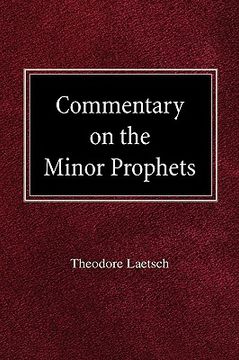 portada commentary on the minor prophets (en Inglés)