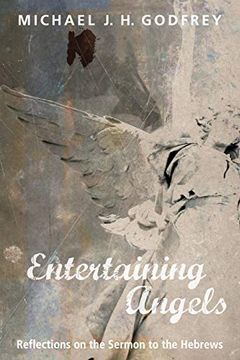 portada Entertaining Angels: Reflections on the Sermon to the Hebrews (en Inglés)