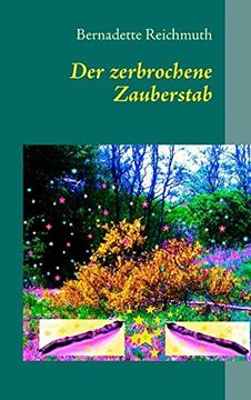 portada Der zerbrochene Zauberstab (German Edition)
