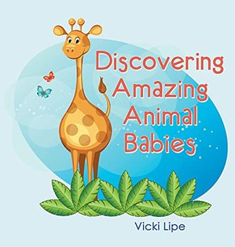 portada Discovering Amazing Animal Babies 