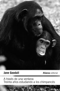 portada A través de una ventana: Treinta años estudiando a los chimpancés (en Castellano)