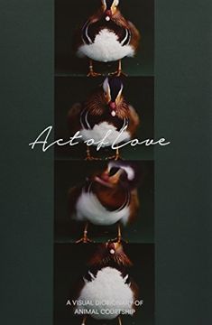 portada Act of Love - a Visual Dictionary of Animal Courtship