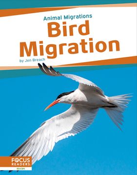 portada Bird Migration (en Inglés)