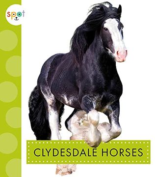 portada Clydesdale Horses (Spot Horses) (in English)