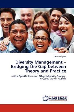 portada diversity management - bridging the gap between theory and practice (en Inglés)