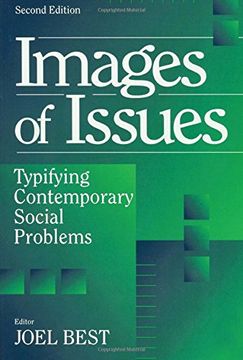 portada Images of Issues: Typifying Contemporary Social Problems (Social Problems & Social Issues) (in English)