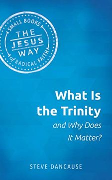 portada What is the Trinity and why Does it Matter? (Jesus Way: Small Books of Radical Faith) (en Inglés)