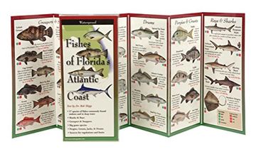 portada fishes of florida