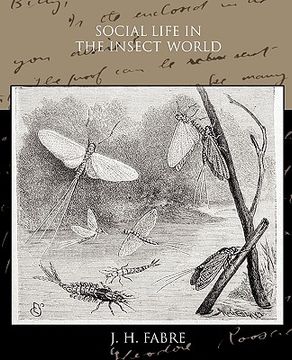 portada social life in the insect world (in English)