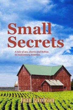 portada Small Secrets (en Inglés)