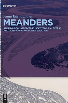 portada Meanders: Sturm Global Attractors, Seaweed lie Algebras and Classical Yang-Baxter Equation (en Inglés)