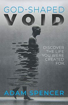 portada God-Shaped Void: Discover the Life you Were Created For. (en Inglés)