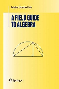 portada a field guide to algebra (en Inglés)