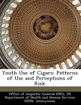 portada youth use of cigars: patterns of use and perceptions of risk (en Inglés)