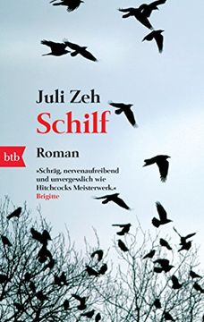 portada Schilf: Roman (en Alemán)