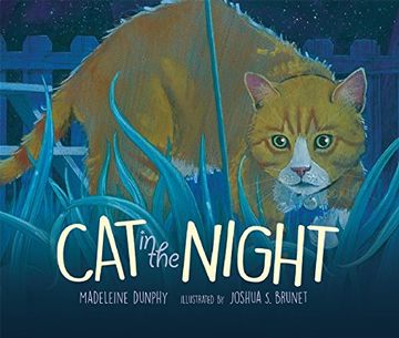 portada Cat in the Night (in English)