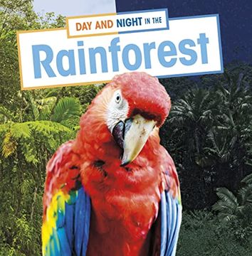 portada Day and Night in the Rainforest (Habitat Days and Nights) (in English)