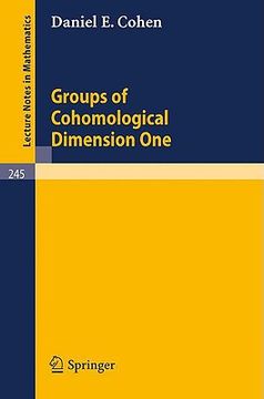 portada groups of cohomological dimension one (en Inglés)