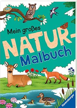 portada Ravensburger Mein Großes Natur-Malbuch - Heimische Waldtiere, Meerestiere, Vögel und Pflanzen zum Ausmalen und Spannenden Fakten (in German)