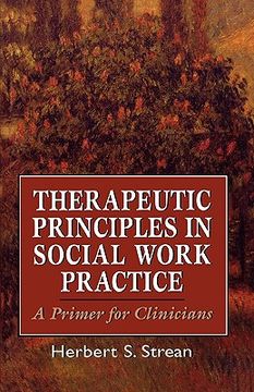 portada therapeutic principles in soci (en Inglés)