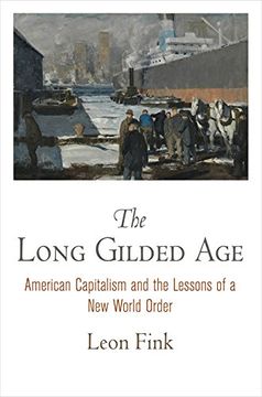 portada The Long Gilded Age: American Capitalism and the Lessons of a new World Order (American Business, Politics, and Society) (in English)